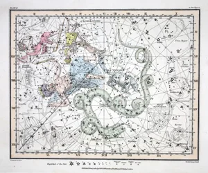 Les Constellations (Planche II) Ursa Minor, Cassiopée, Tarandus, Céphée, Draco, Custos Messium, de 